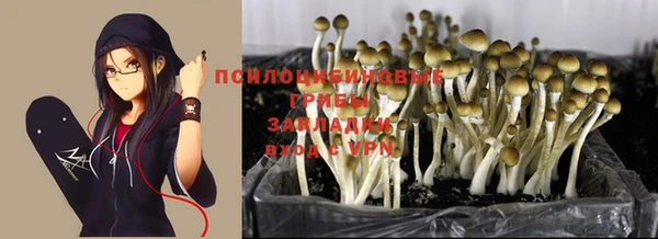 кокс Алексеевка