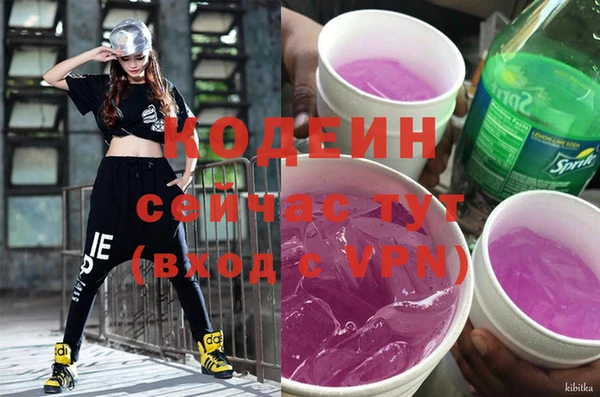 дмт Алексин