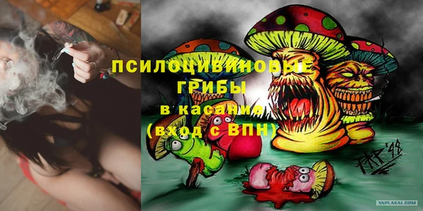 2c-b Алзамай