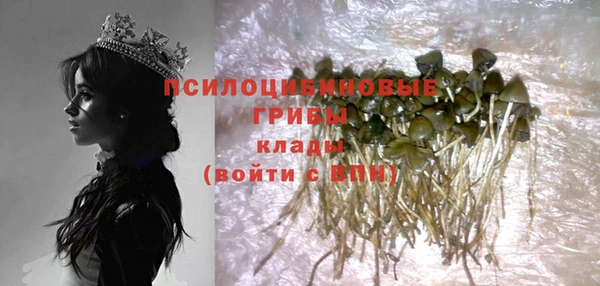 дмт Алексин